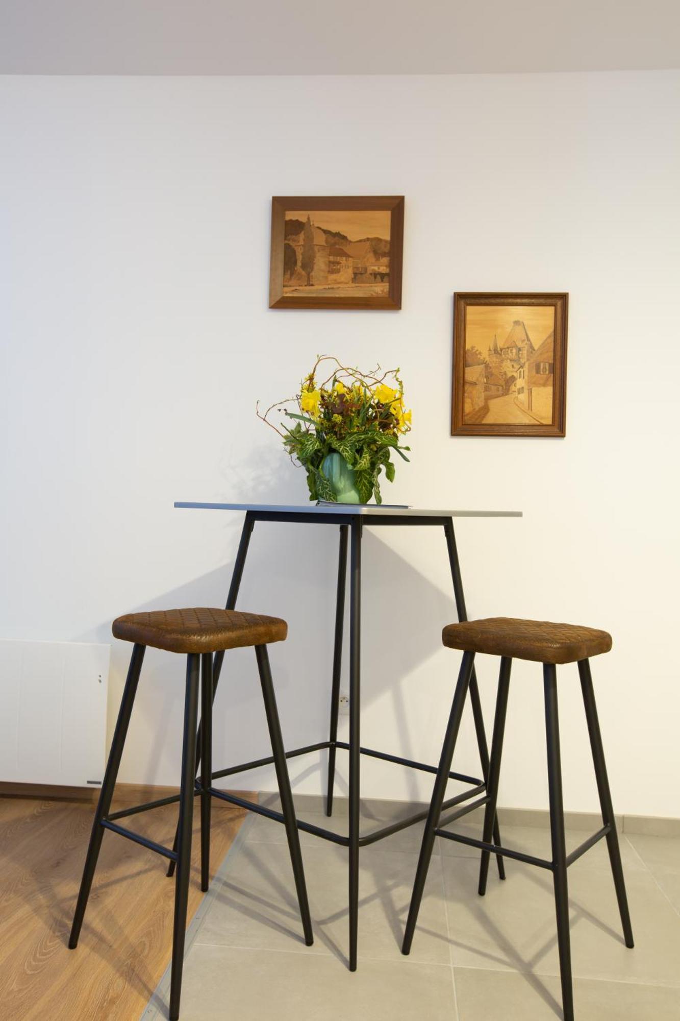 Le Rhenanus Jacques Taurellus - Appartement Duplex Au Calme - Centre Ville - Parking Gratuit 셀레스탓 외부 사진